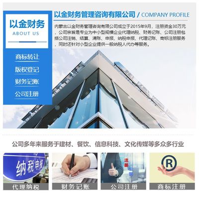 財務記賬-內(nèi)蒙古以金財務-財務記賬報表